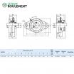 Unidad de rodamiento UCFL208-INOX