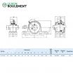Unidad de rodamiento UCP206-INOX