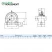 Unidad de rodamiento UCPA205-INOX