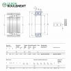 Rodamiento de rodillos cilíndricos NN3019-K-TN9-SP-W33-SKF