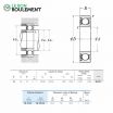 Rodamiento de bolas BL210-Z-NSK